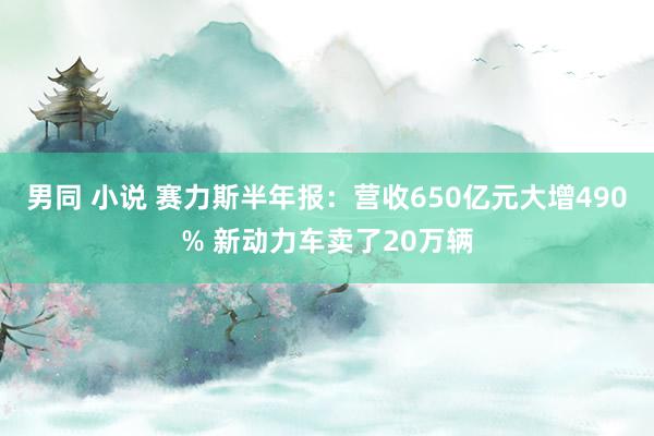 男同 小说 赛力斯半年报：营收650亿元大增490% 新动力车卖了20万辆