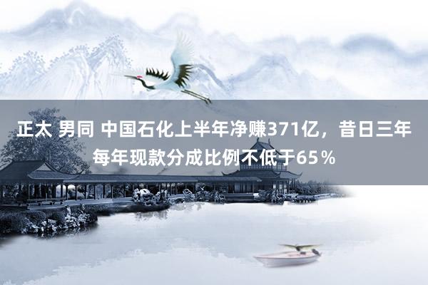 正太 男同 中国石化上半年净赚371亿，昔日三年每年现款分成比例不低于65％