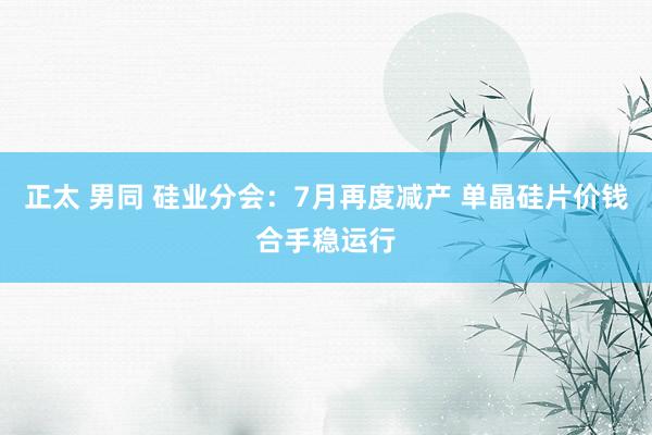 正太 男同 硅业分会：7月再度减产 单晶硅片价钱合手稳运行