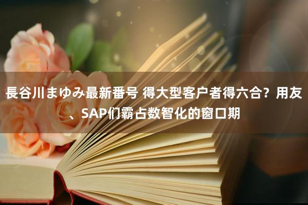 長谷川まゆみ最新番号 得大型客户者得六合？用友、SAP们霸占数智化的窗口期