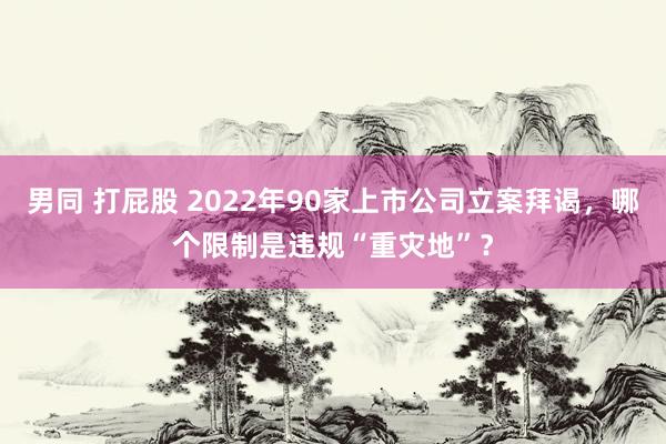 男同 打屁股 2022年90家上市公司立案拜谒，哪个限制是违规“重灾地”？