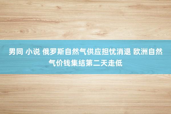 男同 小说 俄罗斯自然气供应担忧消退 欧洲自然气价钱集结第二天走低