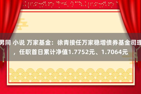 男同 小说 万家基金：徐青接任万家稳增债券基金司理，任职首日累计净值1.7752元、1.7064元