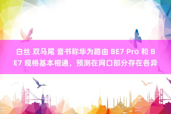 白丝 双马尾 音书称华为路由 BE7 Pro 和 BE7 规格基本相通，预测在网口部分存在各异