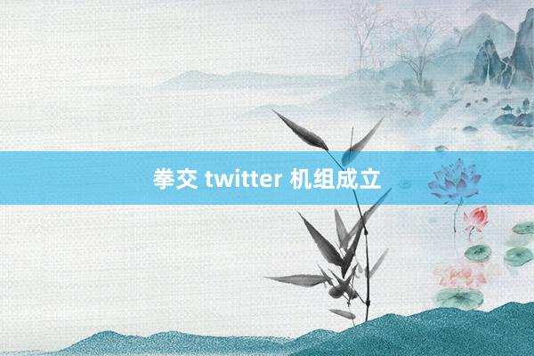 拳交 twitter 机组成立