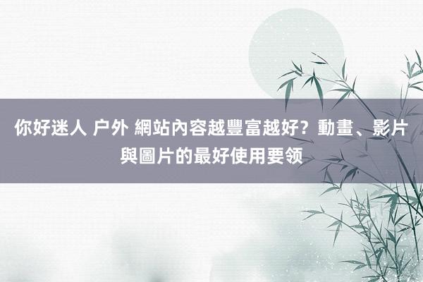 你好迷人 户外 網站內容越豐富越好？動畫、影片與圖片的最好使用要领